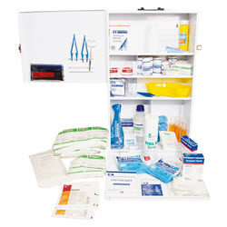 High Risk Premium Workplace Kit (30+) Wall Mounted Metal Cabinet